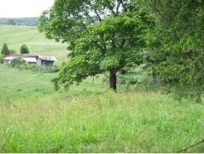 Photo #12: 259 Dotson Lane