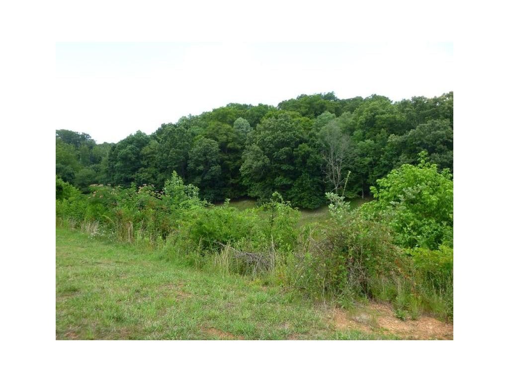 Photo #7: 4727 Sterling (Lot 17) Lane
