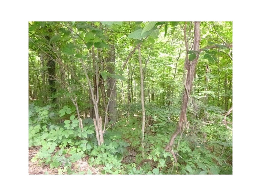 Photo #13: Lot 6 Briarwood Road