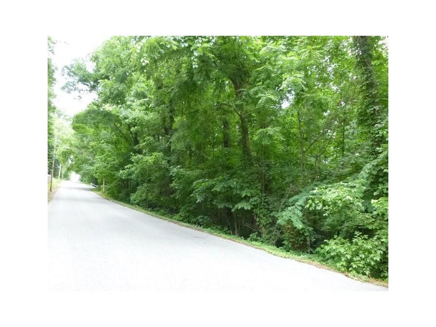 Photo #11: Lot 6 Briarwood Road