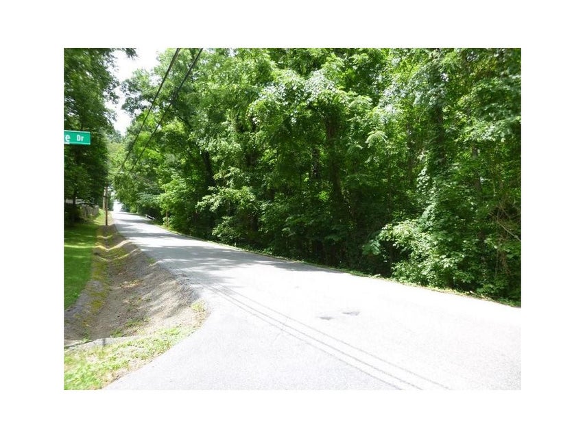 Photo #8: Lot 6 Briarwood Road