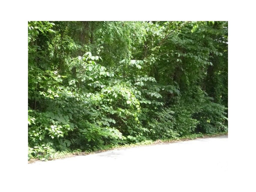 Photo #3: Lot 6 Briarwood Road