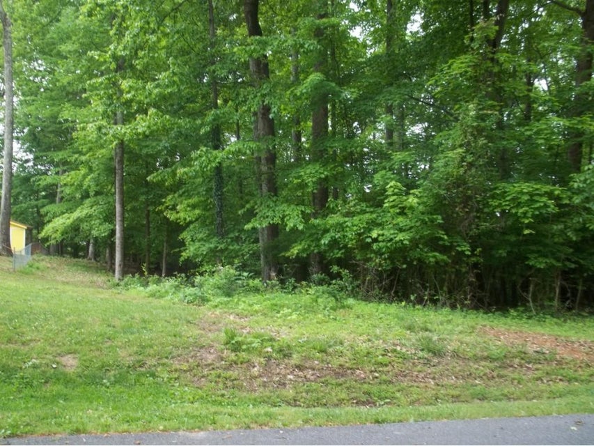 Photo #5: Lot 14 Evergreen Street