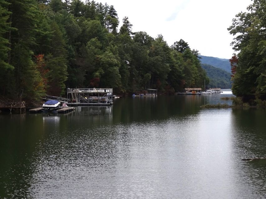 Photo #7: Tbd Cove Ridge Road