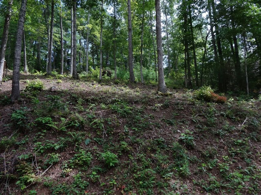 Photo #6: Tbd Cove Ridge Road