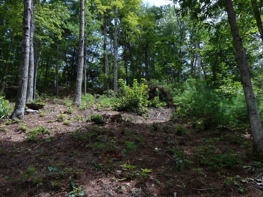 Photo #5: Tbd Cove Ridge Road