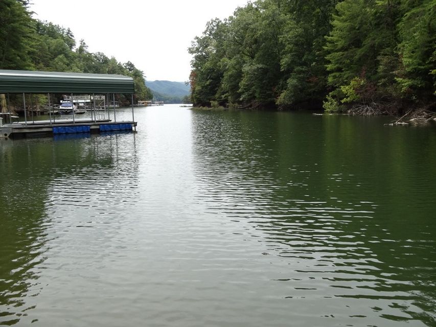 Photo #1: Tbd Cove Ridge Road