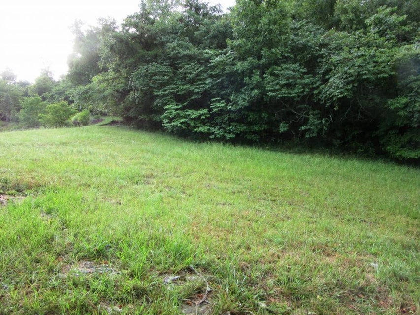 Photo #4: TBD Greenbriar Circle