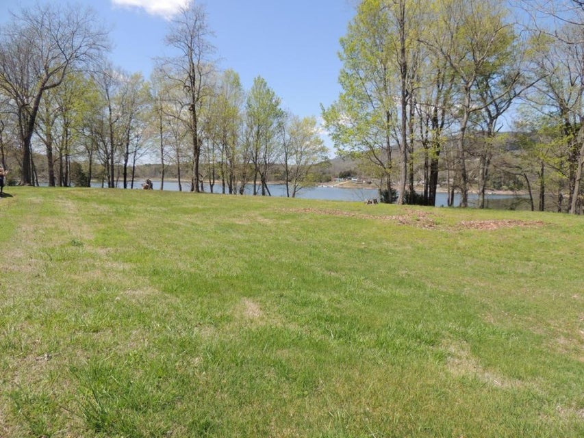 Photo #7: 244 Walnut Bend Drive