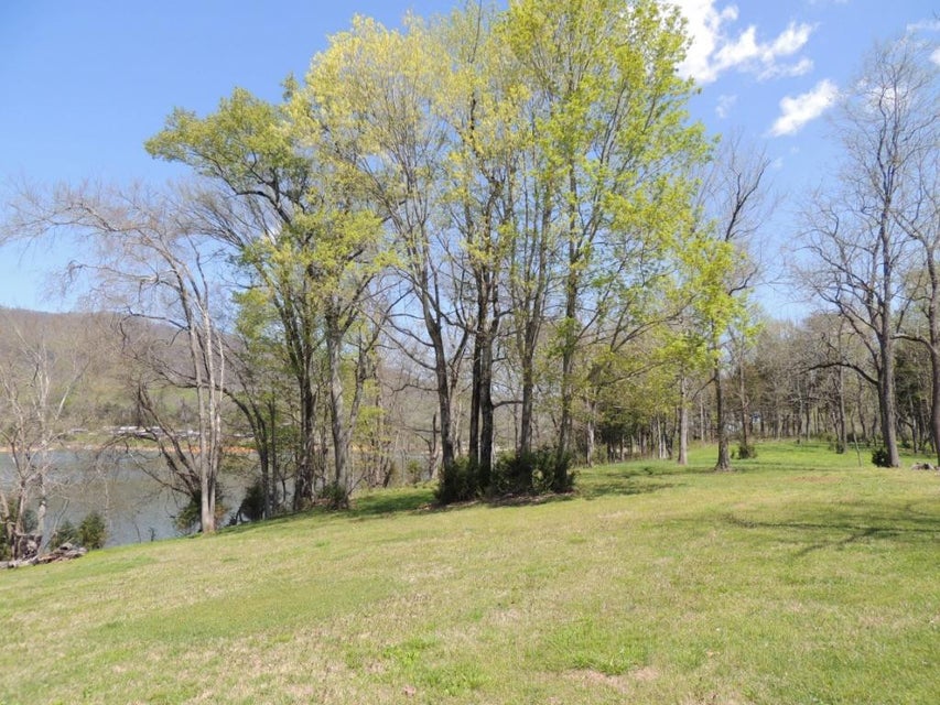 Photo #2: 244 Walnut Bend Drive