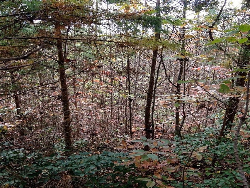Photo #6: - Sonshine Ridge Road