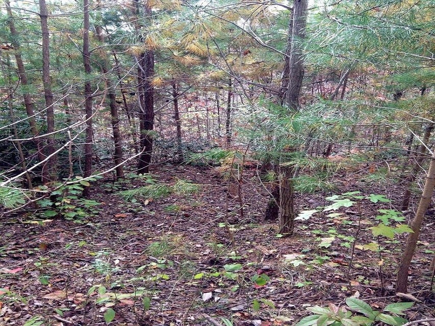 Photo #5: - Sonshine Ridge Road