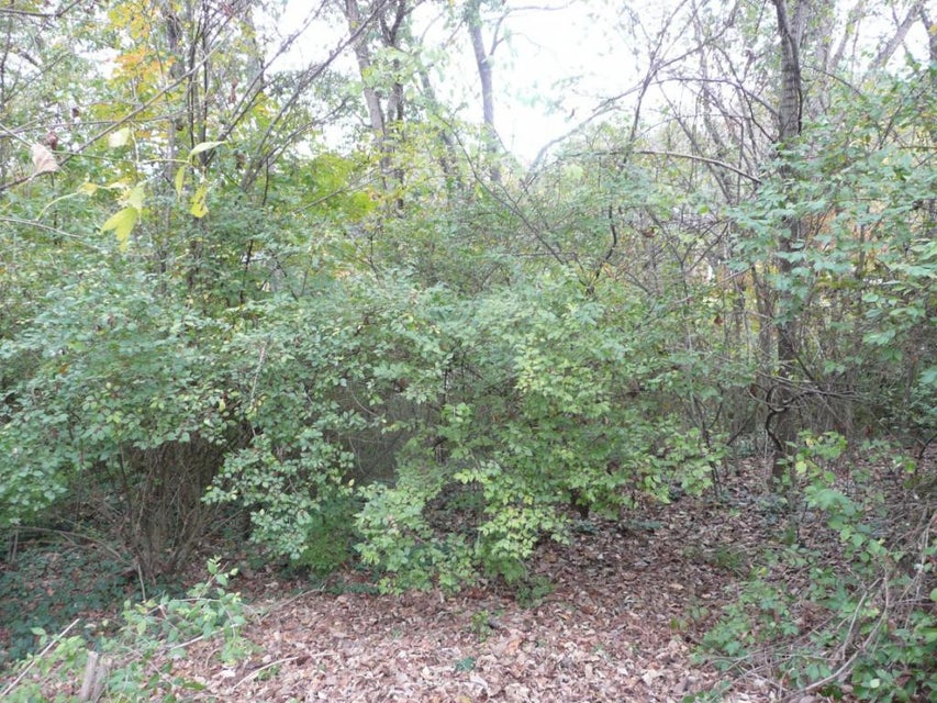 Photo #3: - Ledges Drive