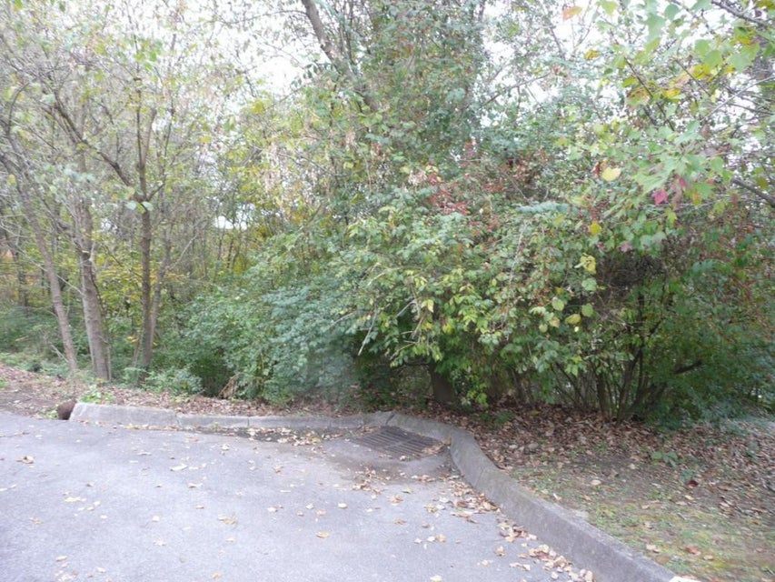 Photo #2: - Ledges Drive