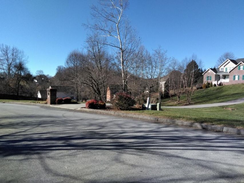 Photo #4: 704 Sugarwood Court