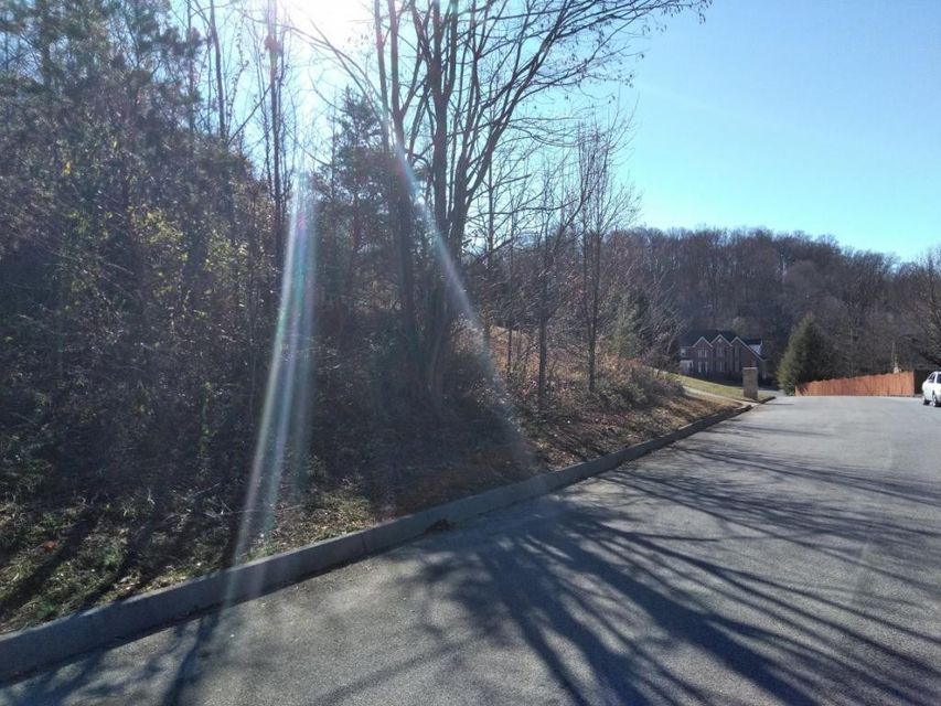 Photo #2: 704 Sugarwood Court