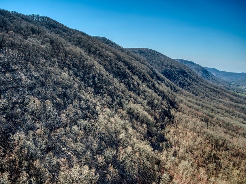 Photo #19: 0 Gibson Hill Road