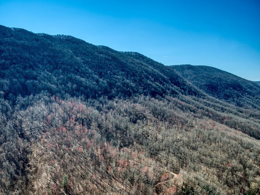 Photo #17: 0 Gibson Hill Road