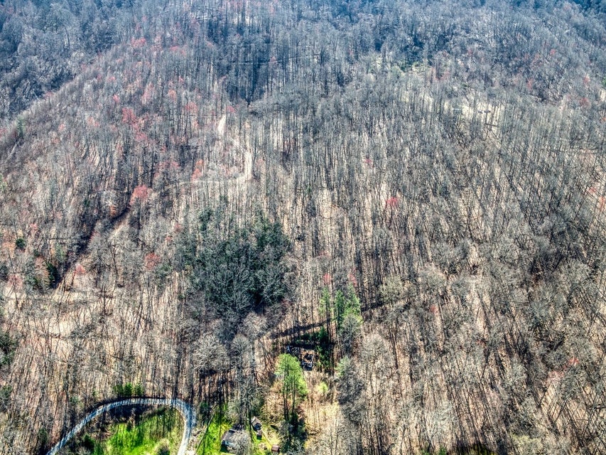 Photo #15: 0 Gibson Hill Road