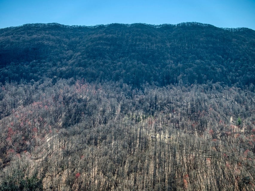 Photo #14: 0 Gibson Hill Road