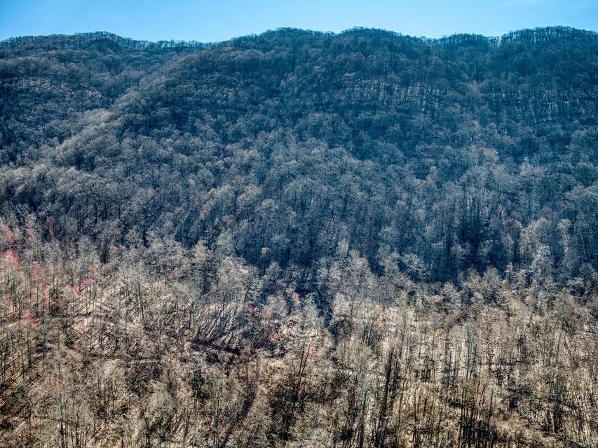 Photo #12: 0 Gibson Hill Road