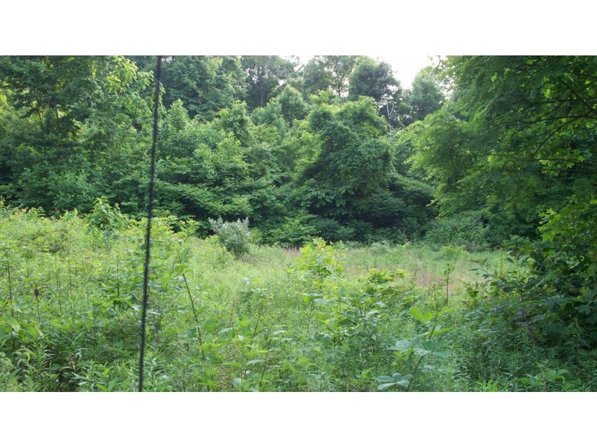 Photo #7: 0 Gibson Hill Road