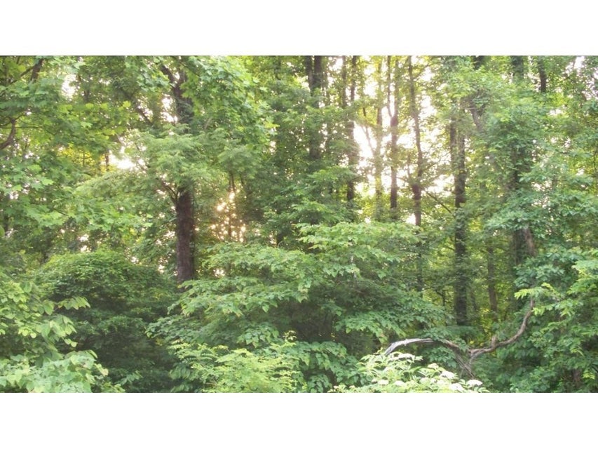 Photo #6: 0 Gibson Hill Road