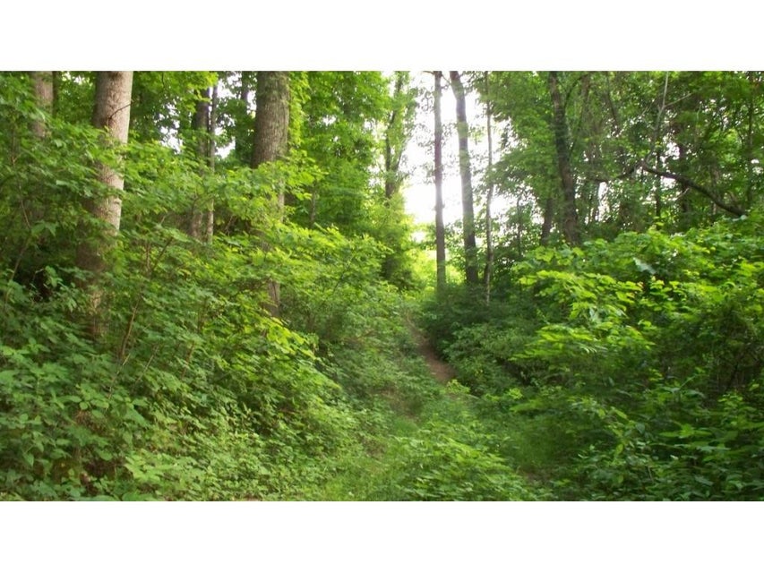 Photo #4: 0 Gibson Hill Road