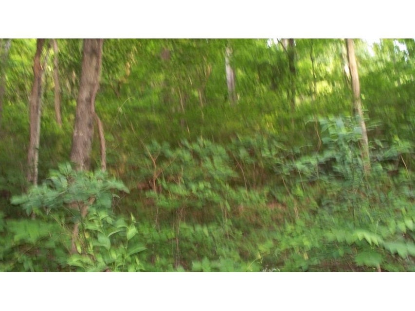 Photo #3: 0 Gibson Hill Road