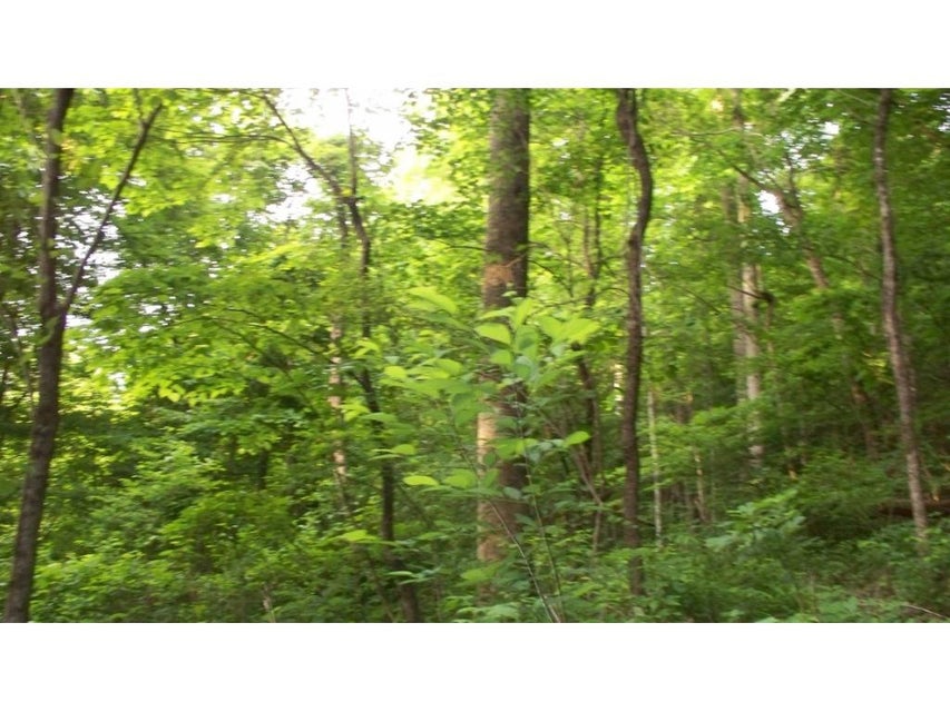 Photo #1: 0 Gibson Hill Road