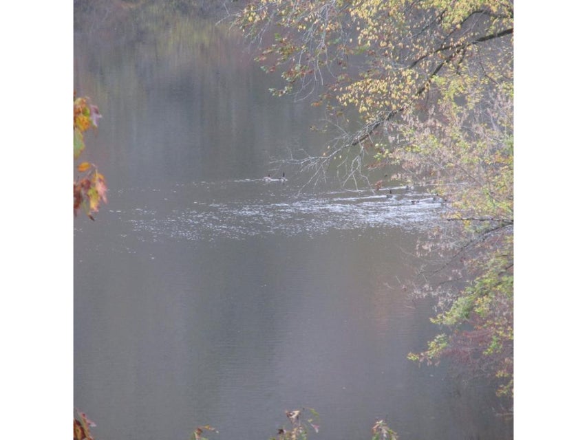 Photo #2: Tbd Pates Hill Road
