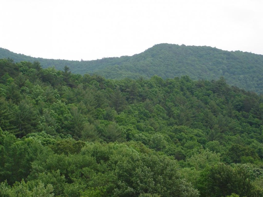 Photo #4: TBD Hogback Road
