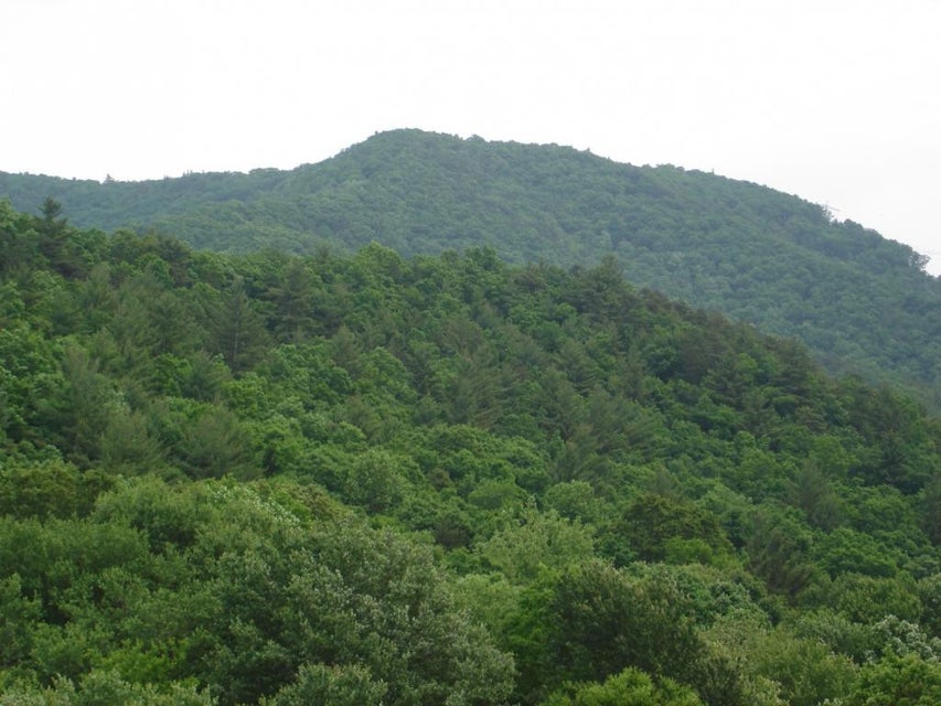 Photo #3: TBD Hogback Road
