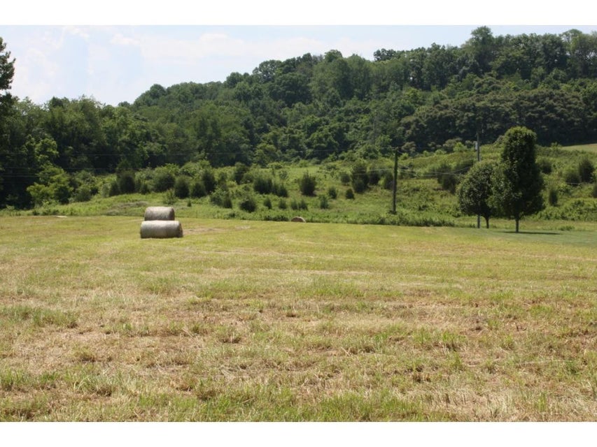 Photo #11: TBD Reedy Creek