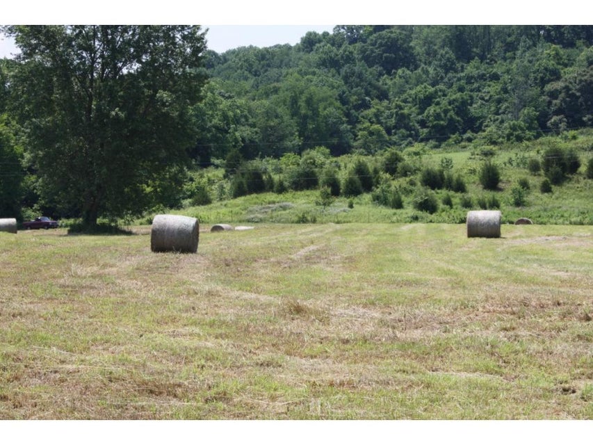 Photo #10: TBD Reedy Creek