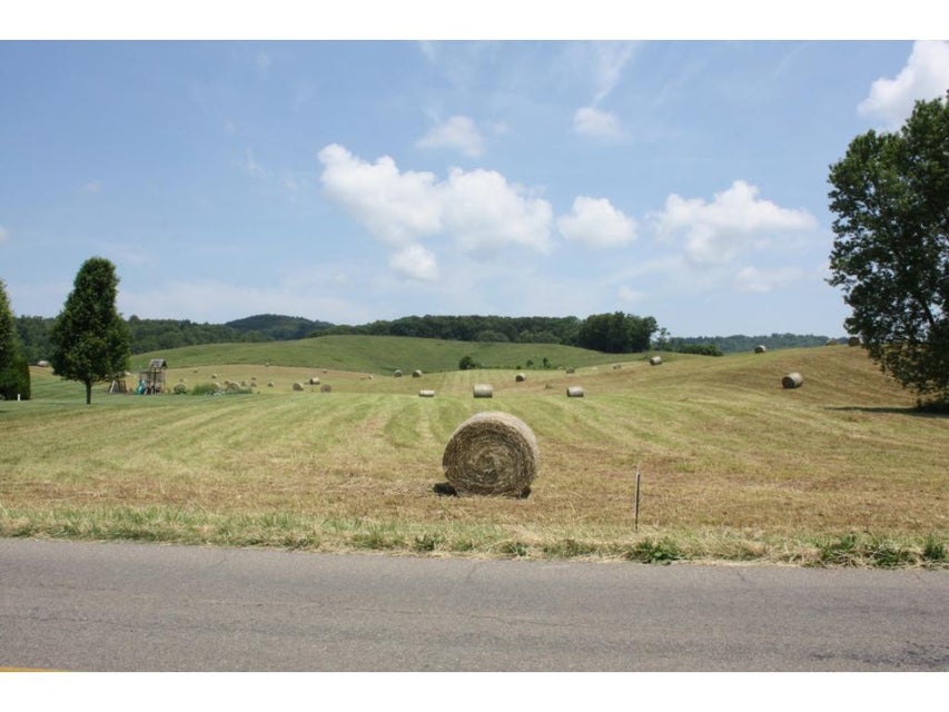 Photo #9: TBD Reedy Creek