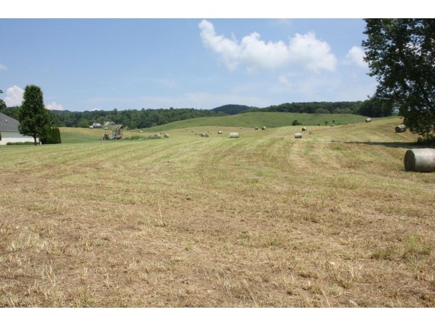 Photo #8: TBD Reedy Creek