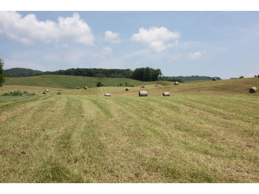 Photo #7: TBD Reedy Creek