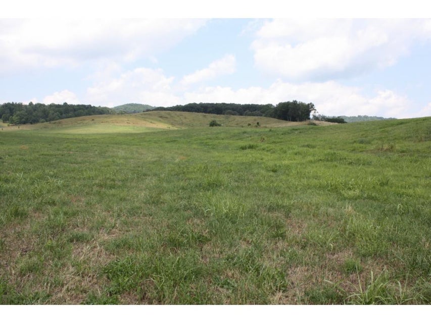 Photo #4: TBD Reedy Creek