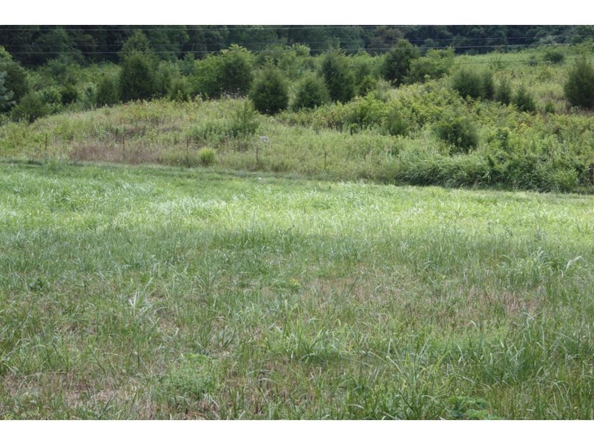 Photo #3: TBD Reedy Creek