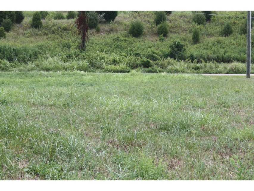 Photo #2: TBD Reedy Creek