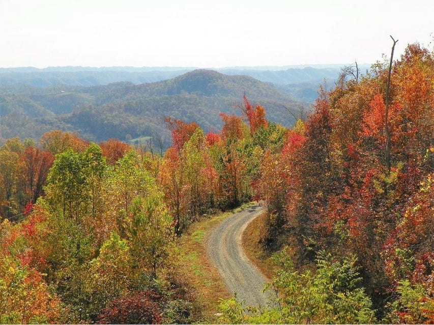 Photo #3: Lot #1 Majestic Drive
