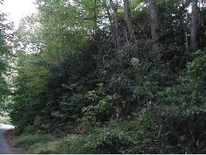 Photo #1: 121 Banjo Ridge Road