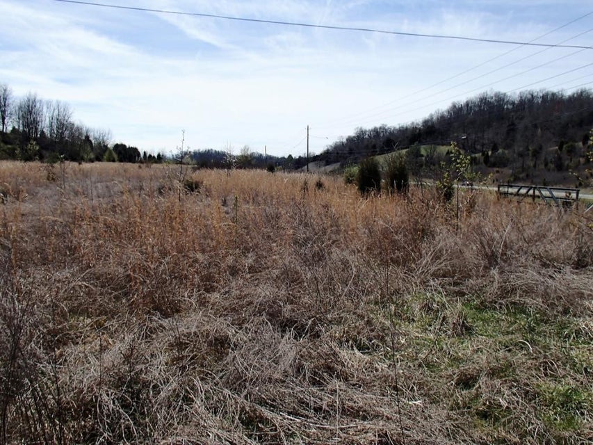 Photo #5: 3695 Highway 11E