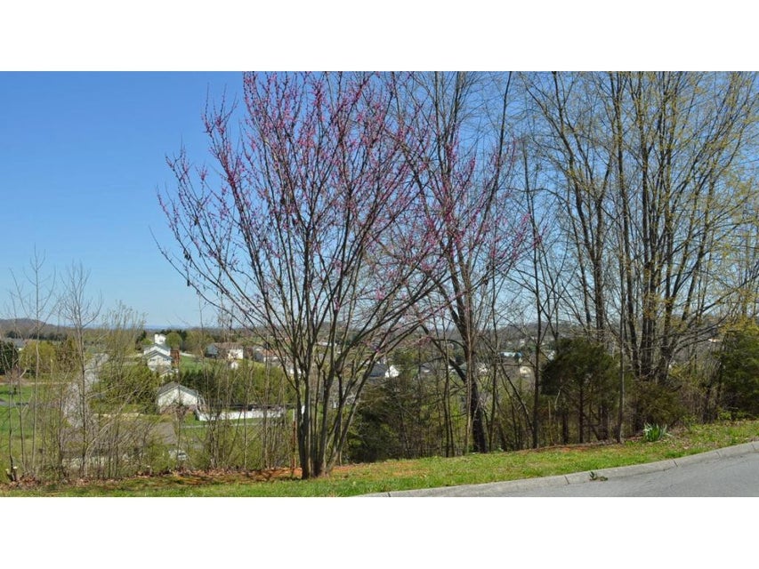 Photo #2: 208 Alfalfa Lane