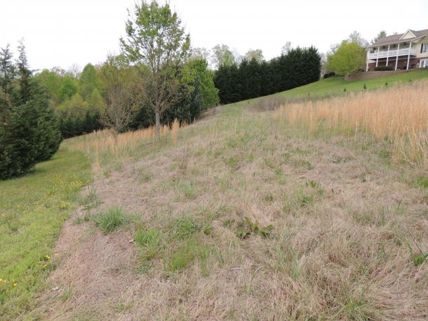 Photo #3: 261 Roanoke Drive