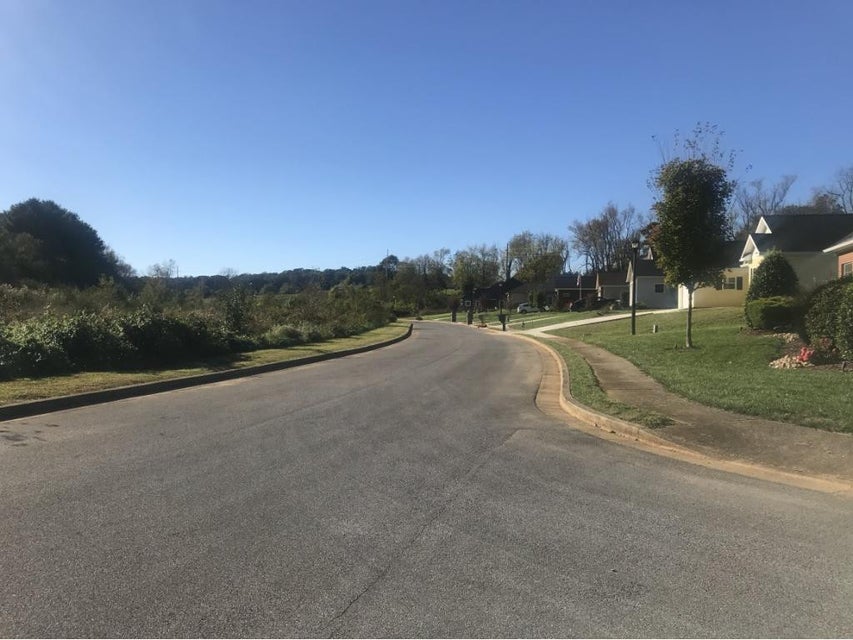 Photo #3: Lot 15 Villa Lane