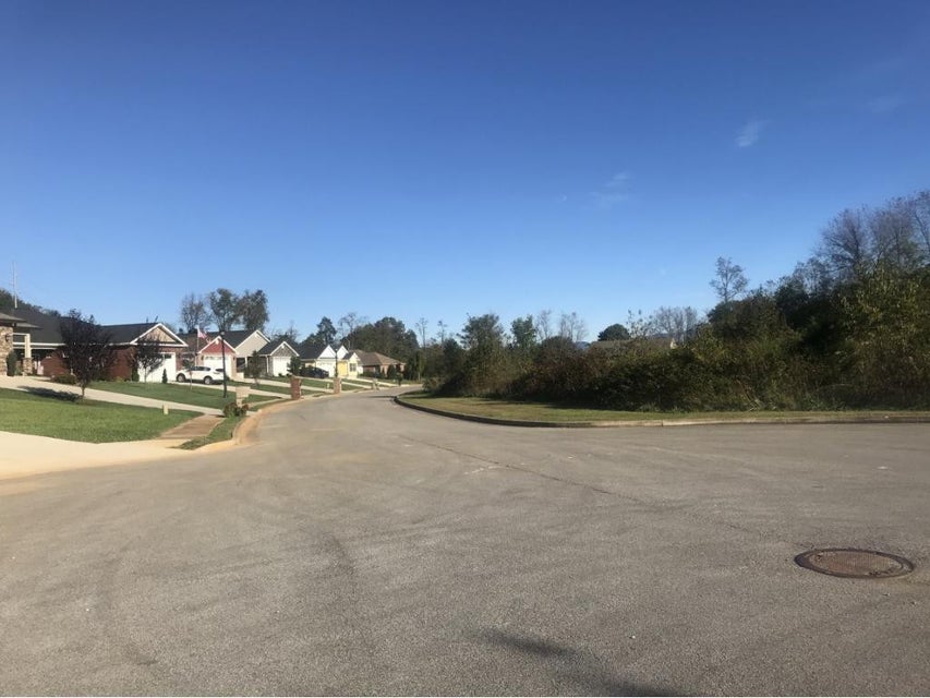 Photo #2: Lot 15 Villa Lane