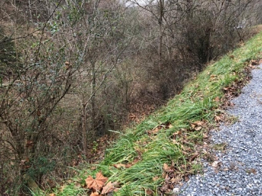 Photo #3: TBD Sharrett Road