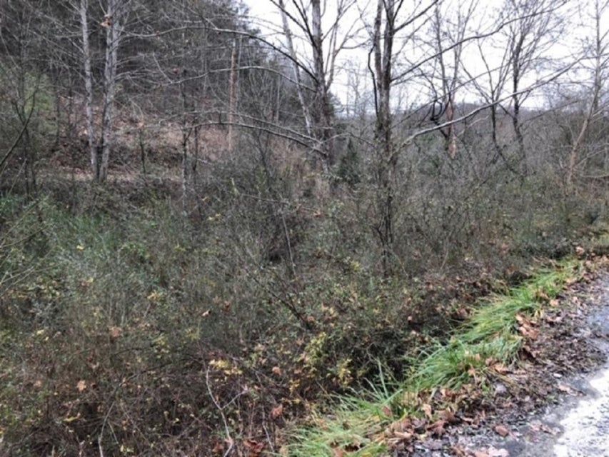 Photo #2: TBD Sharrett Road